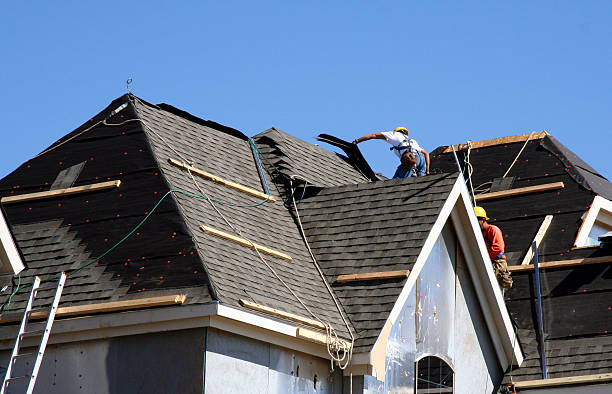 Best Gutter Installation and Roofing  in Blue Mountain, MS