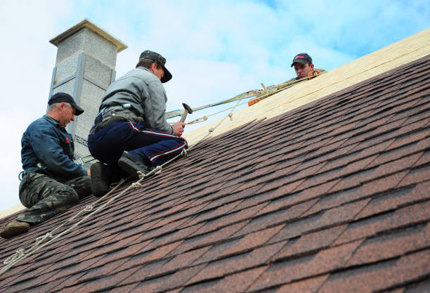 Best Roof Waterproofing Services  in Blue Mountain, MS